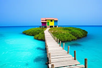 Illustration insular - Image 1