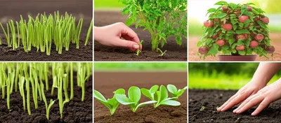 Illustration farming - Image 1