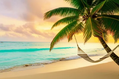 Illustration paradise - Image 1