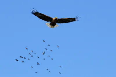 Illustration very - Image 1