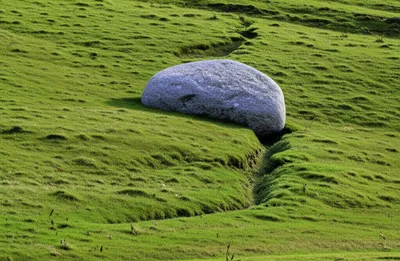 Illustration curls - Image 1