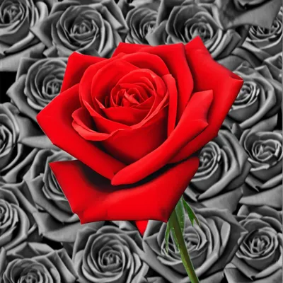 Illustration saturating - Image 1