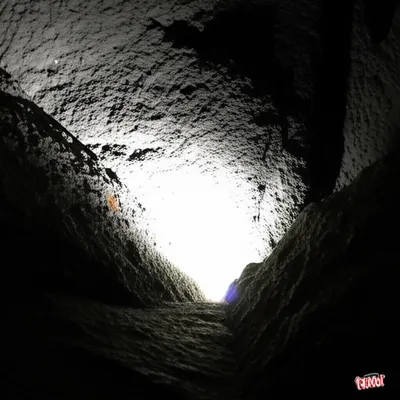 Illustration glared - Image 1