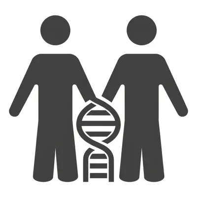 Illustration identical - Image 1