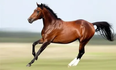 Illustration racking - Image 1