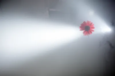 Illustration attention