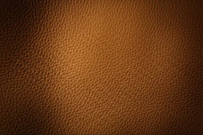 Illustration grains - Image 1