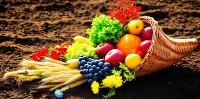 Illustration abundant - Image 1