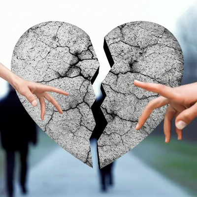 Illustration dividing - Image 1