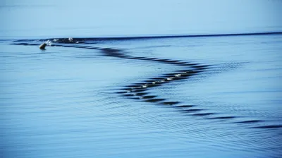 Illustration wobblers - Image 1