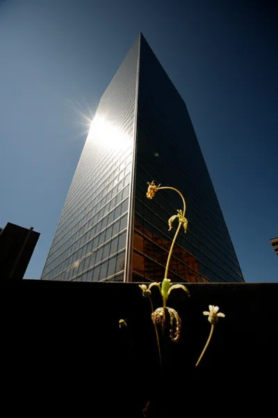 Illustration overlooked - Image 2