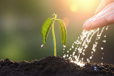 Illustration restart - Image 1