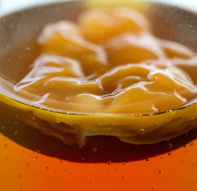 Hình ảnh minh họa mothered - Ảnh 1