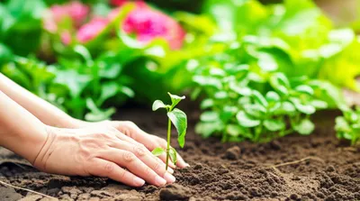 Illustration elevate - Image 1