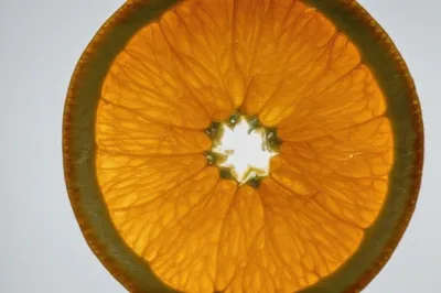 Illustration septum - Image 1