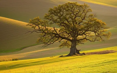 Illustration lights - Image 1