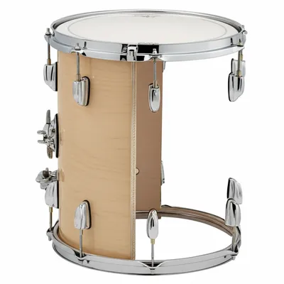 Illustration shell - Image 1