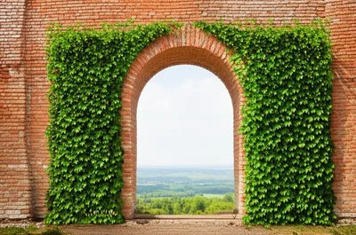 Illustration cemented - Image 1