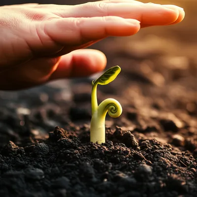 Illustration clothed - Image 1