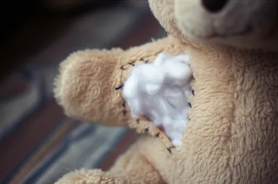 Illustration wadding - Image 1