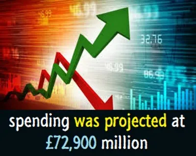 Illustration project - Image 2