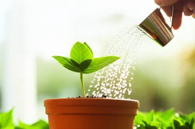 Illustration nursed - Image 1