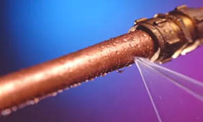 Illustration leak - Image 3