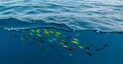 Illustration undercurrent