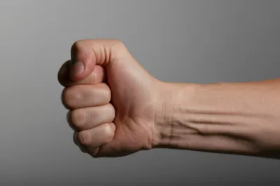 Illustration crisp - Image 1