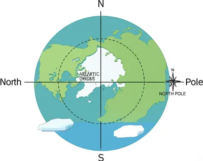 Illustration polar - Image 1
