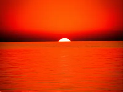 Illustration vermillion - Image 1