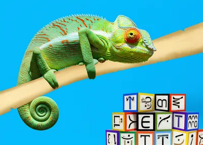 Illustration participle