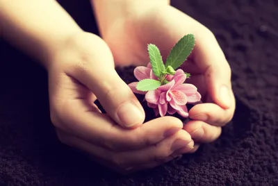 Illustration favors - Image 1