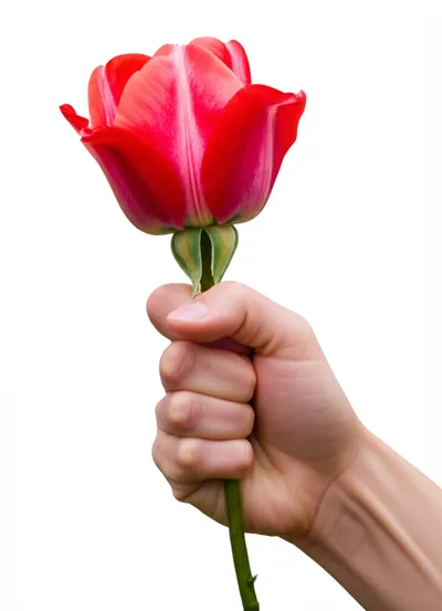 Illustration cramp - Image 1