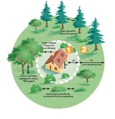 Illustration surrounding - Image 2