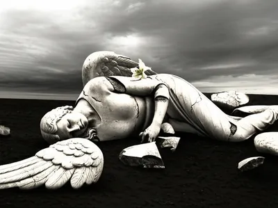 Illustration fallen - Image 1