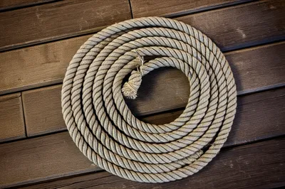 Illustration flake - Image 1