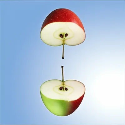 Illustration inverting - Image 1