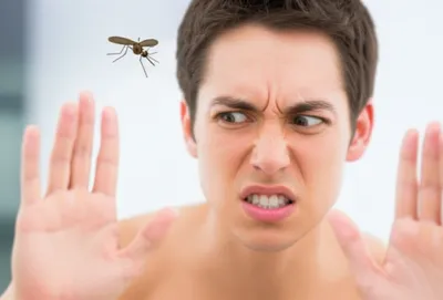 Illustration hock - Image 1