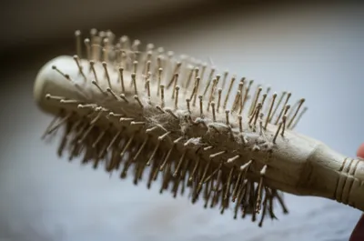 Illustration stripped - Image 1