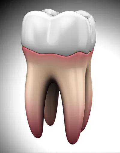 Illustration grinder - Image 1