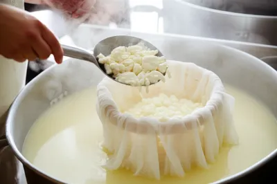 Illustration cheesing - Image 1