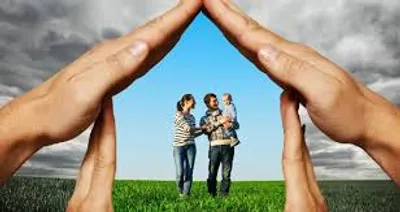 Illustration shelter - Image 2