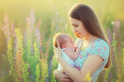 Illustration softest - Image 1