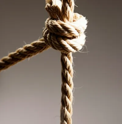 Illustration looses - Image 1