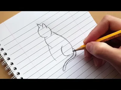 Illustration sketched