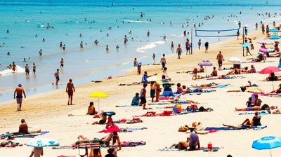 Illustration beachgoers