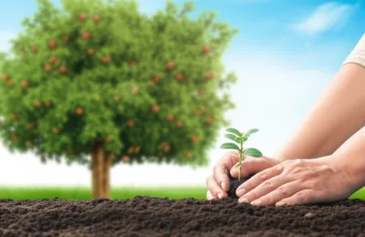 Illustration invested