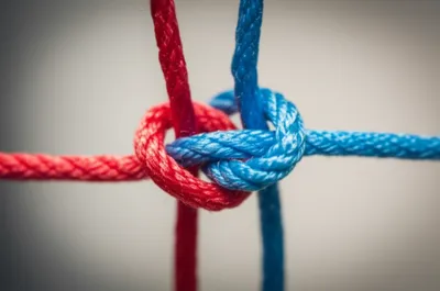 Illustration implicated - Image 1