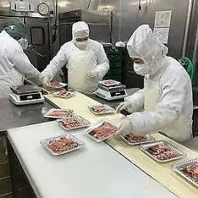 Illustration packer - Image 2